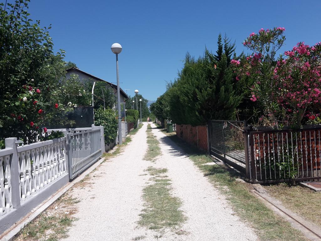 Apartman Nin-Dodo Exterior photo